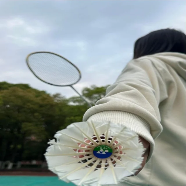 东契奇状态回升引领球队连胜